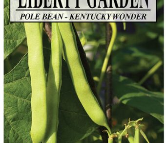 Pole Beans Kentucky Wonder