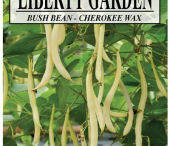 Bush bean Cherokee Wax