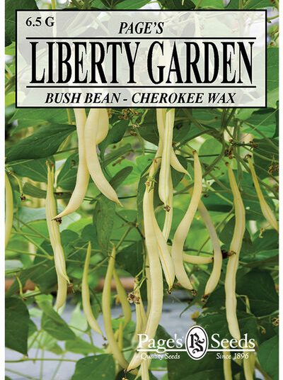 Bush bean Cherokee Wax