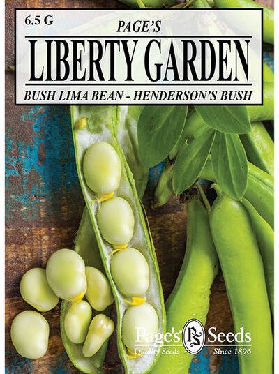 Bush Lima Beans Henderson's Bush