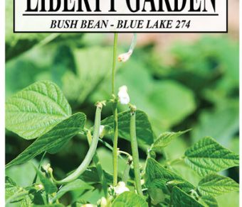 Bush Beans Blue Lake 274