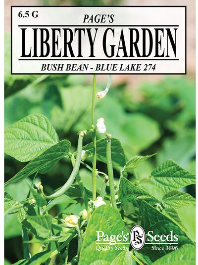 Bush Beans Blue Lake 274