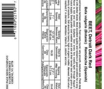 Beet Detroit Dark Red