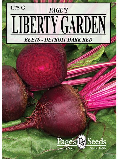 Beet Detroit Dark Red