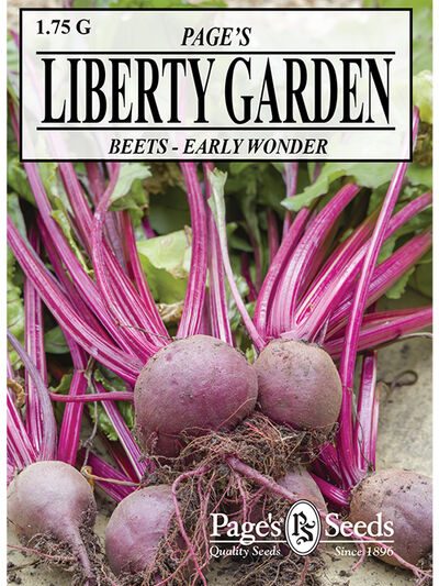 Beet Early Wonder