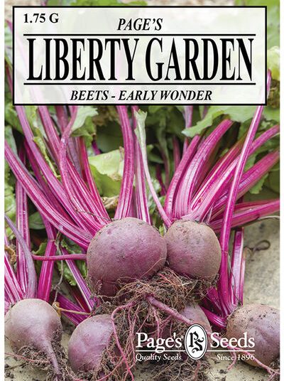 Beet Early Wonder