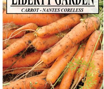 Carrot Nantes Coreless