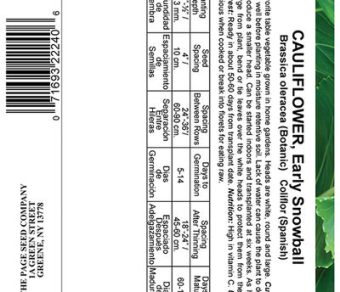 Cauliflower Early Snowball