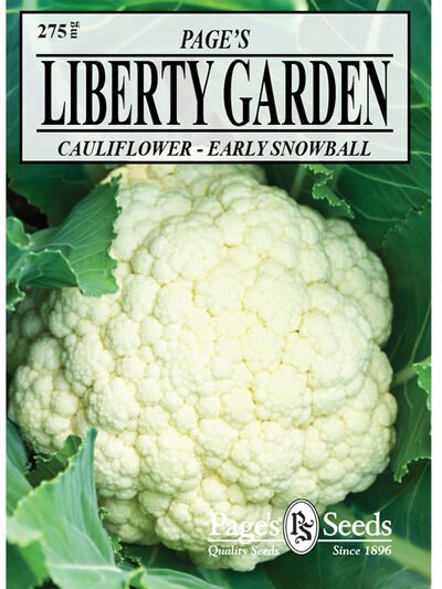 Cauliflower Early Snowball