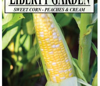 Sweet Corn Peaches & Cream