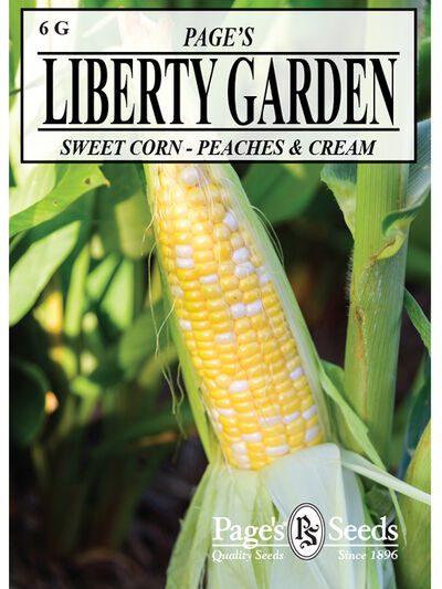 Sweet Corn Peaches & Cream