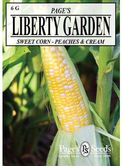 Sweet Corn Peaches & Cream