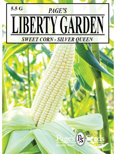 Sweet Corn Silver Queen