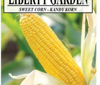 Sweet Corn Kandy Korn