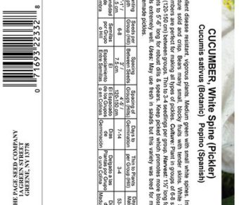 Cucumber White Spine