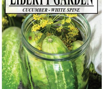 Cucumber White Spine