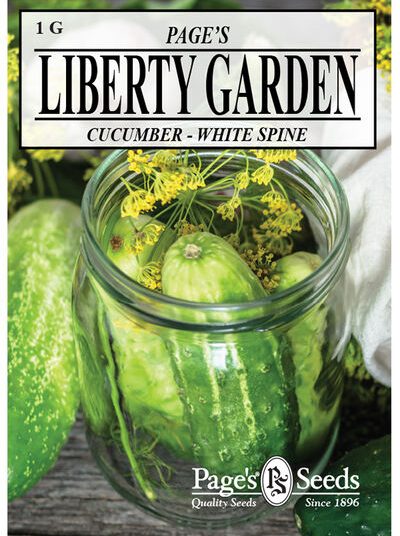 Cucumber White Spine