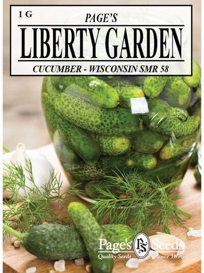 Cucumber Wisconsin SMR58