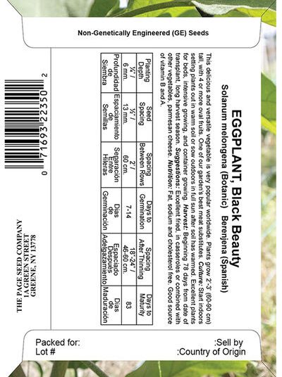 Eggplant Black Beauty