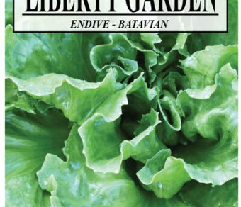 Endive Fullhearted Batavian