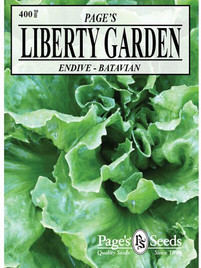 Endive Fullhearted Batavian