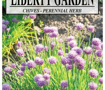 Herb Chives (Perennial Herb)