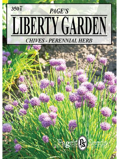 Herb Chives (Perennial Herb)