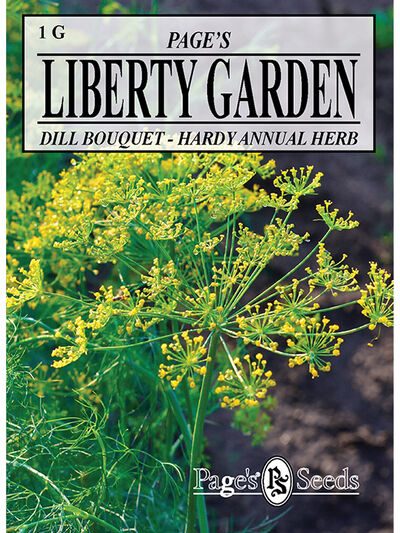 Herb Dill Bouquet