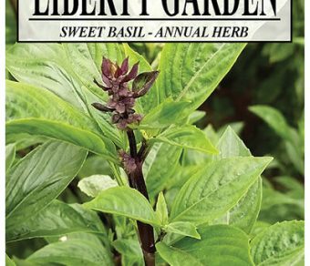 Herb Sweet Basil