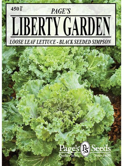 Lettuce Black Seeded Simpson