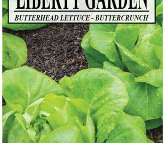 Lettuce Buttercrunch