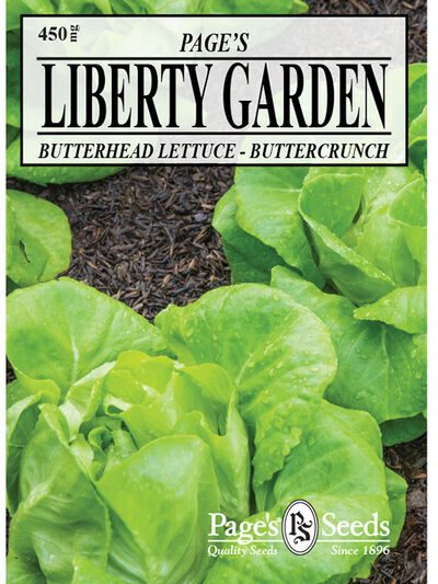 Lettuce Buttercrunch