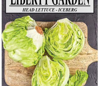 Head Lettuce Iceberg