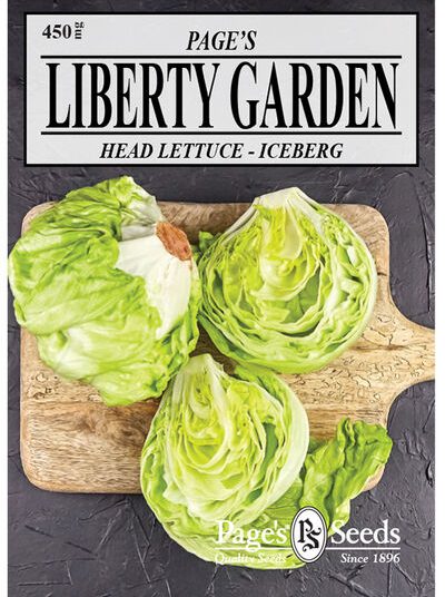 Head Lettuce Iceberg
