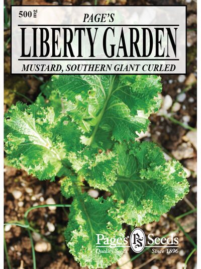 Mustard Southern Giant Curles