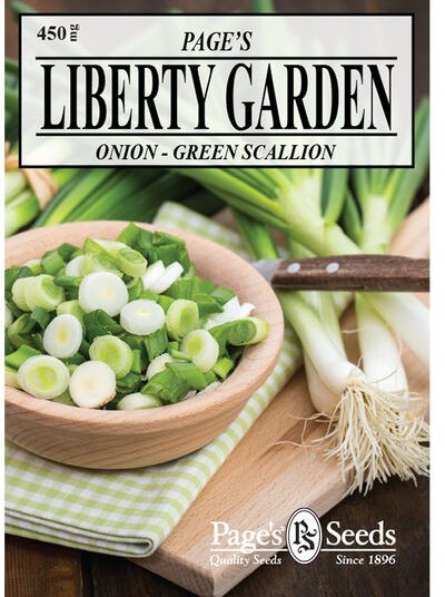 Onion Green Scallion