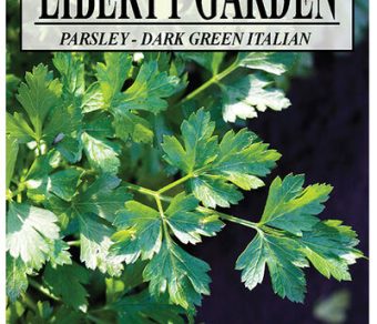 Herb Parsley Dark Green Italian