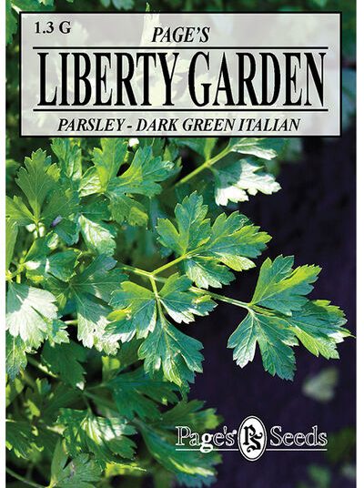 Herb Parsley Dark Green Italian