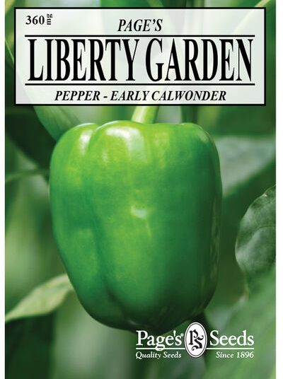 Pepper Early Calwonder