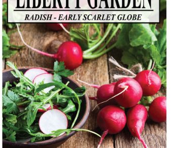 Radish Early Scarlet Globe
