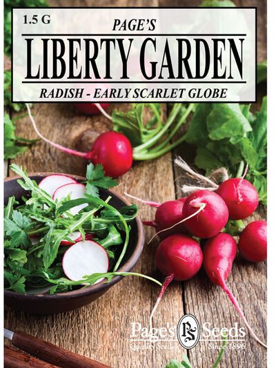 Radish Early Scarlet Globe