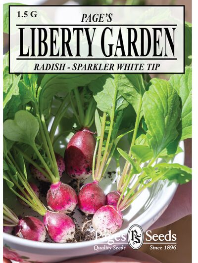 Radish Sparkler White Tip
