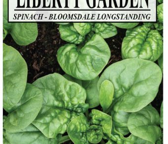 Spinach, Bloomsdale Longstanding