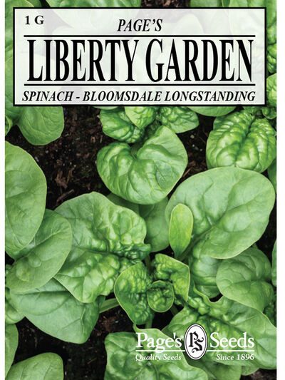Spinach, Bloomsdale Longstanding