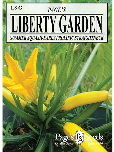 Summer Squash, Early Profific Straightneck