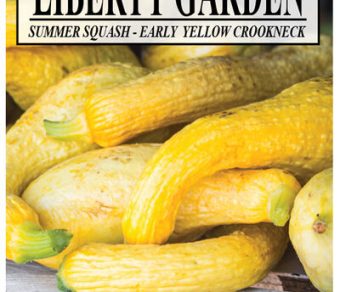 Summer Squash, Early Crookneck