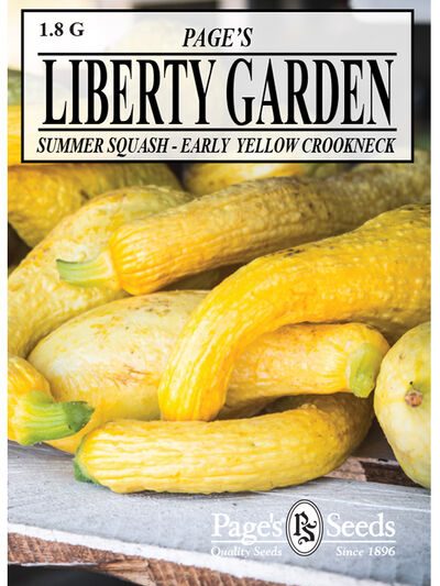 Summer Squash, Early Crookneck