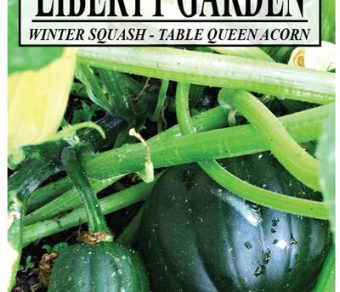 Winter Squash, Table Queen Acorn