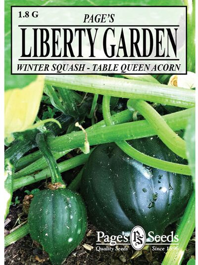 Winter Squash, Table Queen Acorn