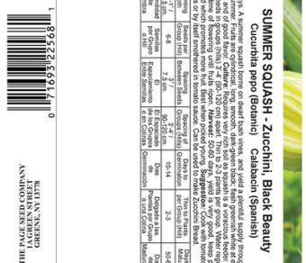 Summer Squash, Zucchini Black Beauty